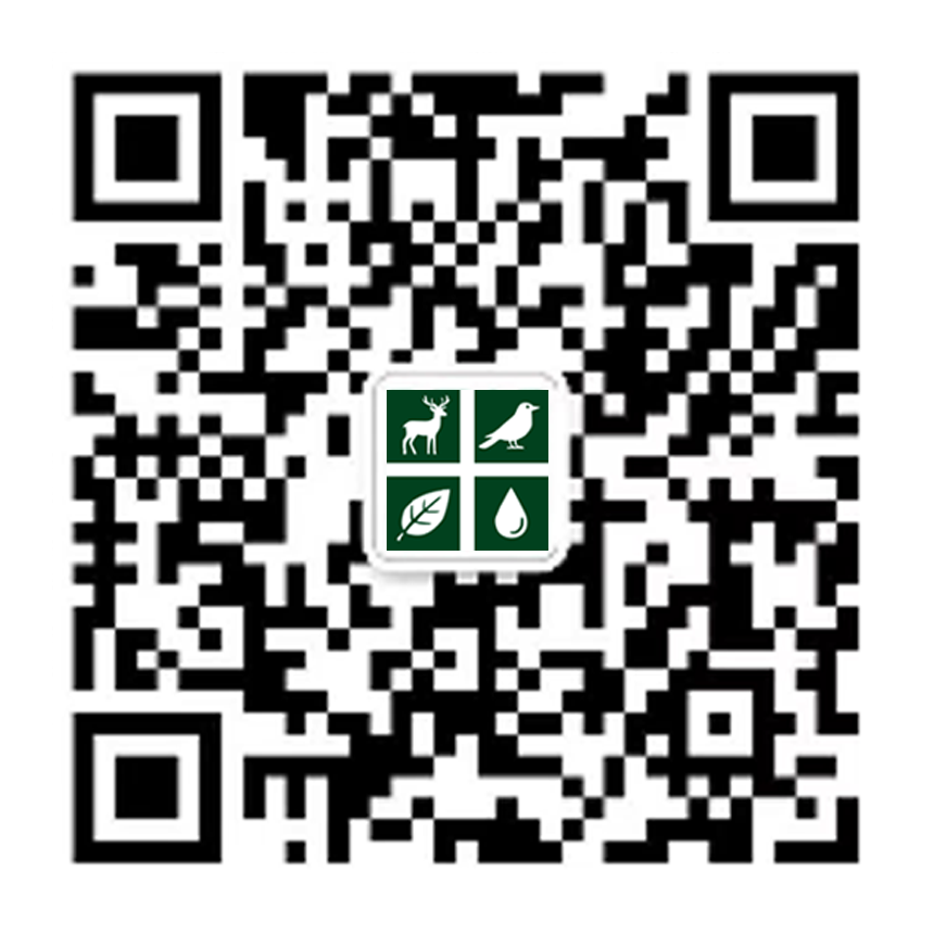 微信公众号